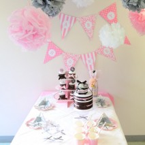 Baby Shower Party